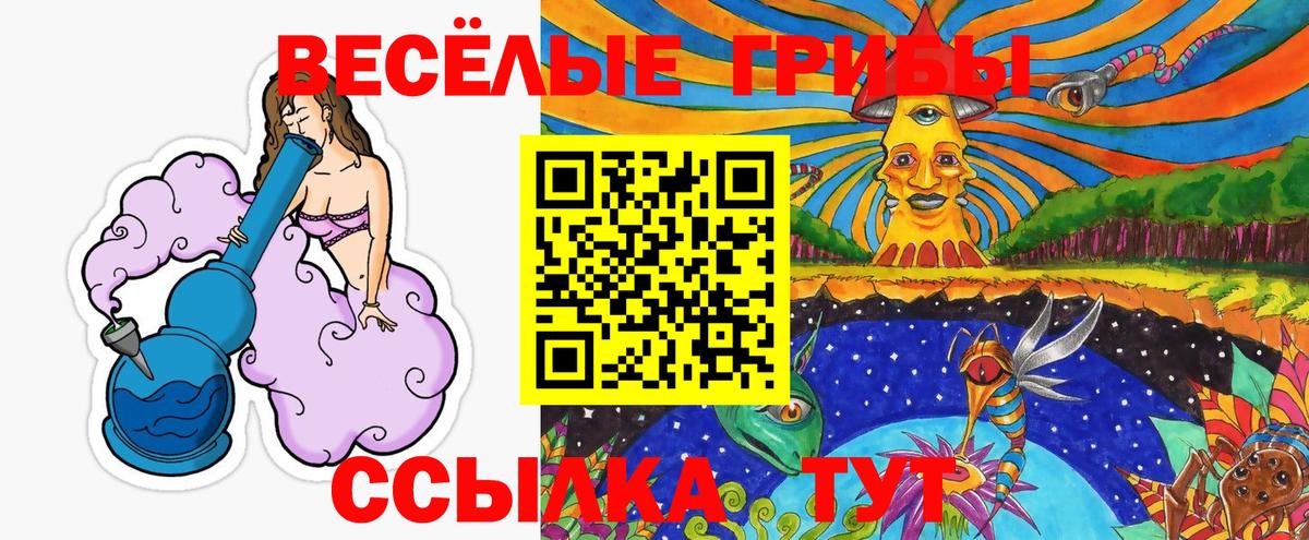 Псилоцибиновые грибы ЛСД  Вход с VPN  как найти закладки  Туапсе 